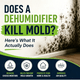 Does a dehumidifier help with mold