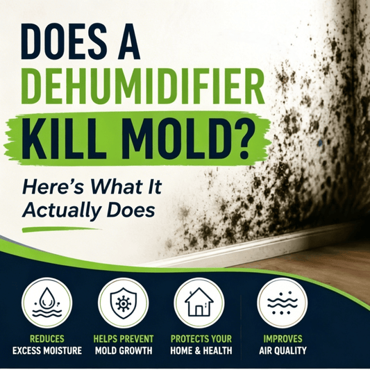 Does a dehumidifier help with mold