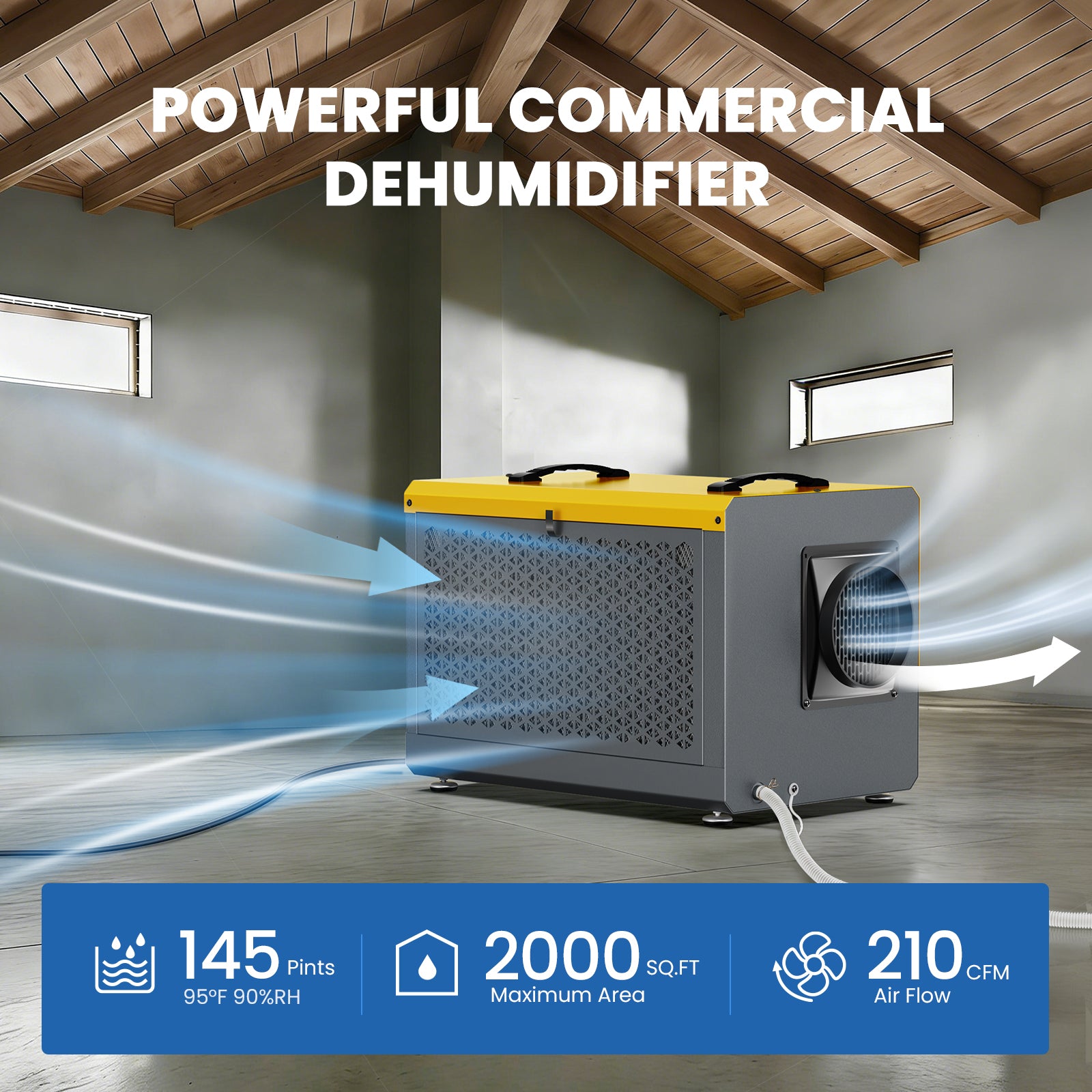 Best Dehumidifier for Basement