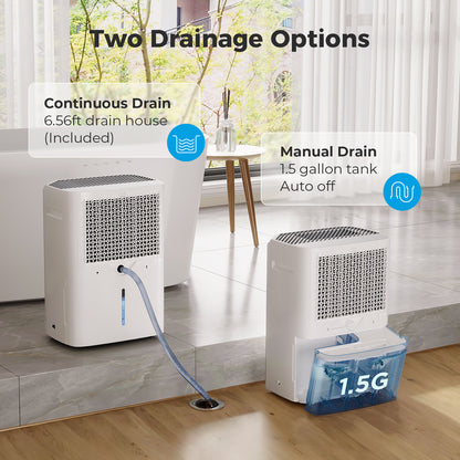 whole home dehumidifier
