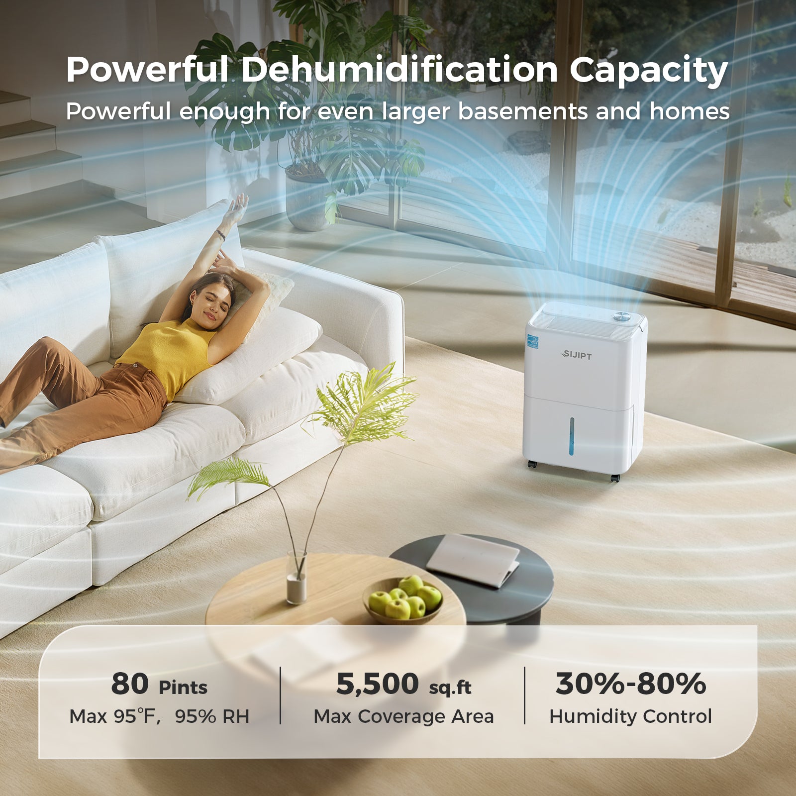 whole house dehumidifier