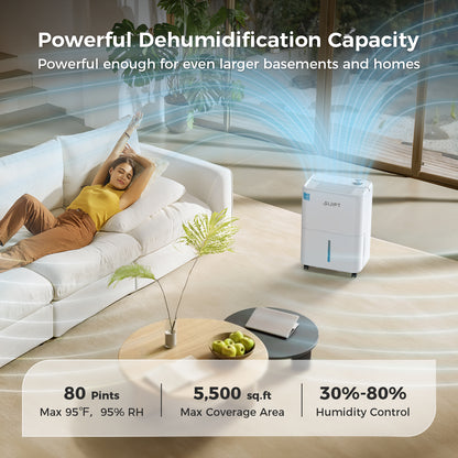 whole house dehumidifier