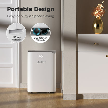 whole home dehumidifier