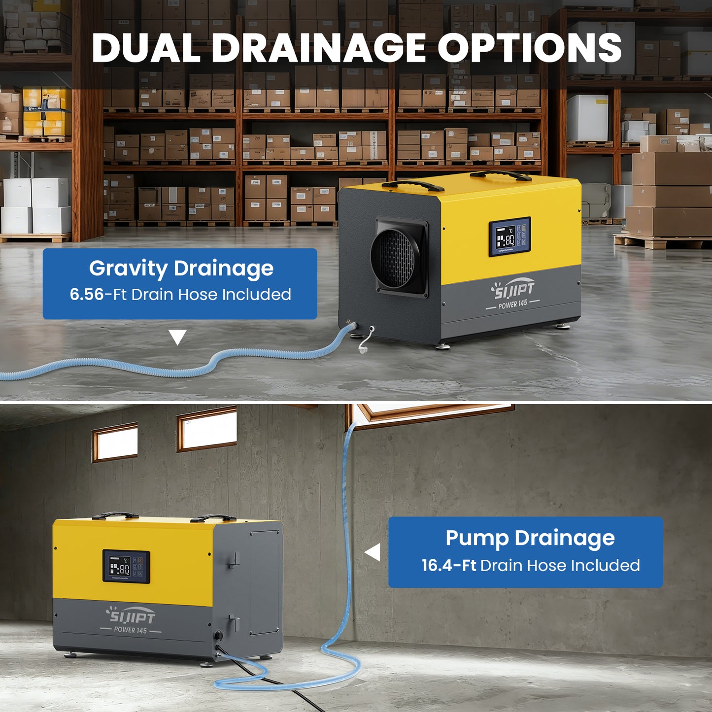 Best Dehumidifier for Basement